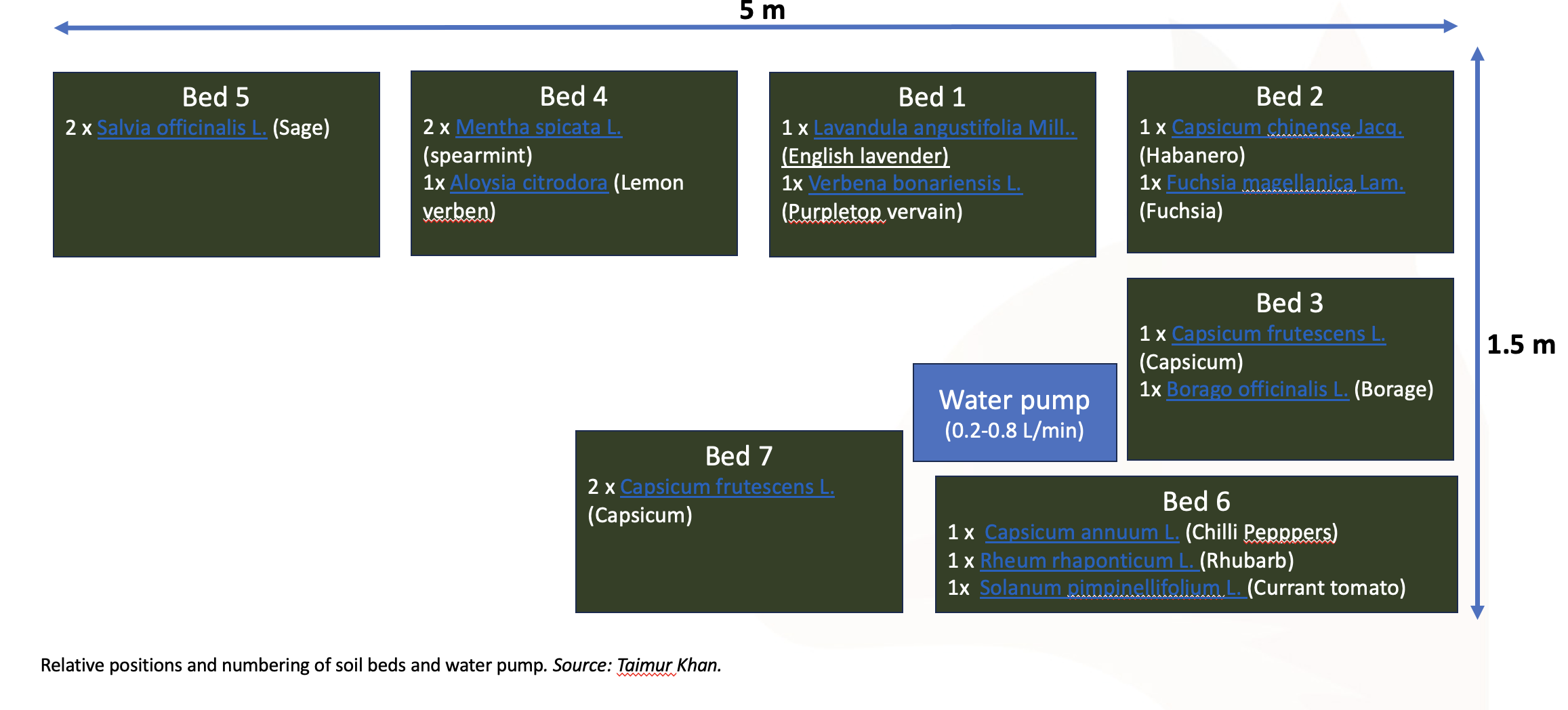 soilbeds